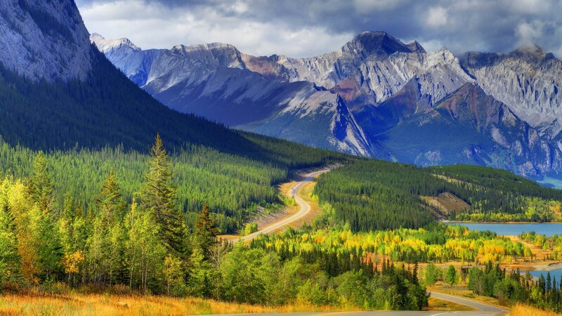 Mountain Road Through Forest — Green, Dramatic