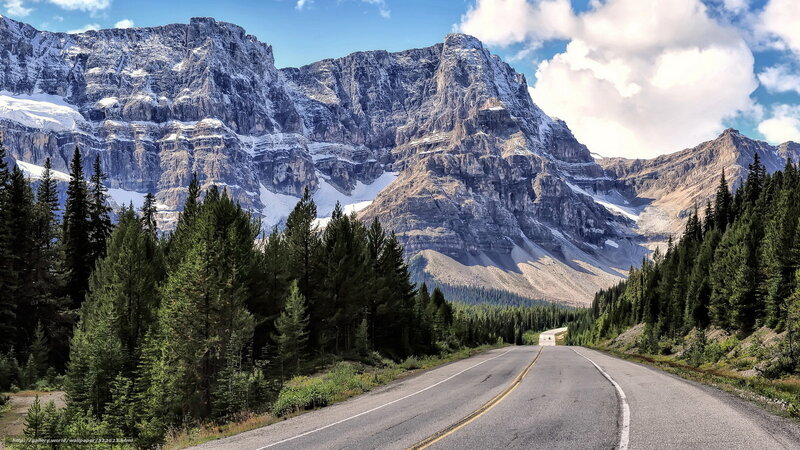 Mountain Road Through Forest — Green, Serene, Afternoon