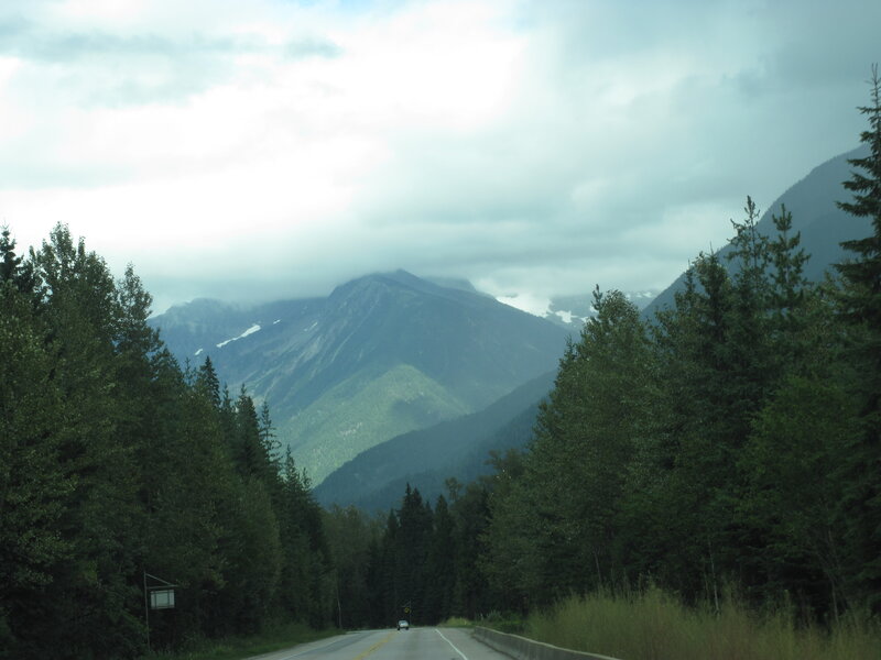 Mountain Road Through Forest — Green