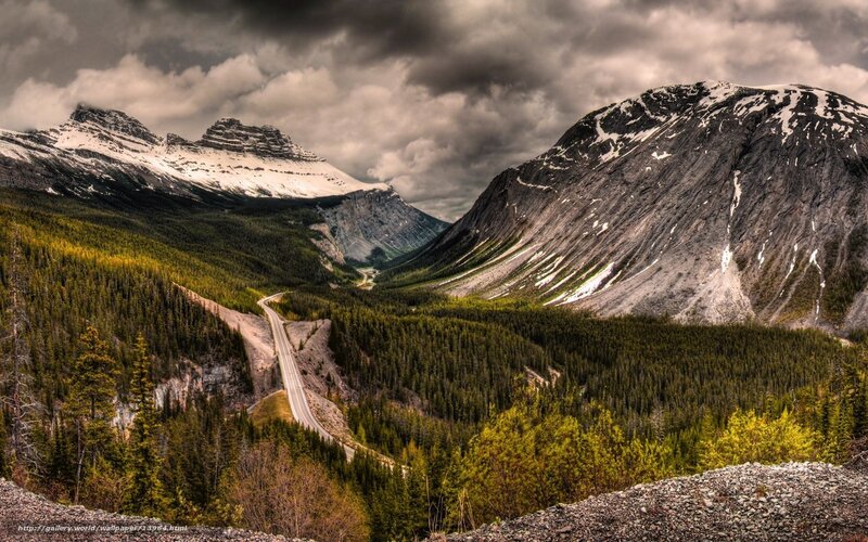 Mountain road through forest valley