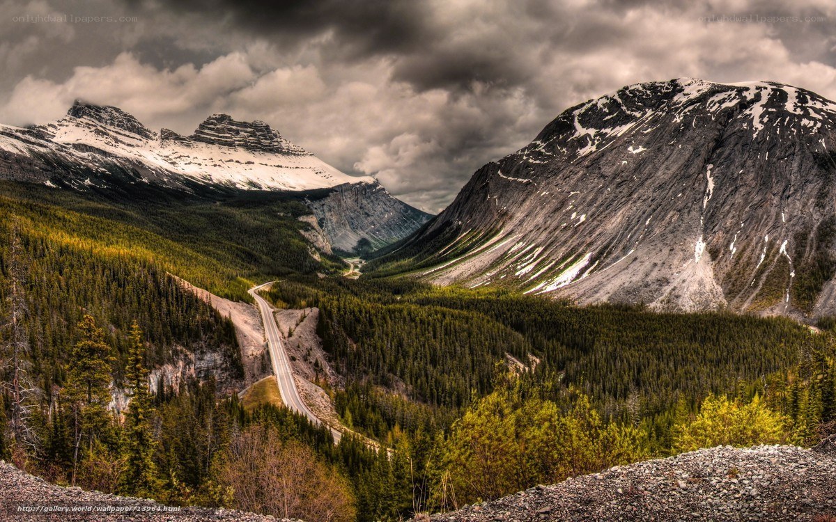 Mountain road through forest valley