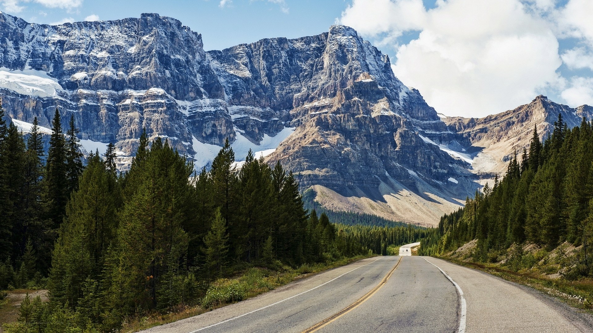 Mountain road through forest
