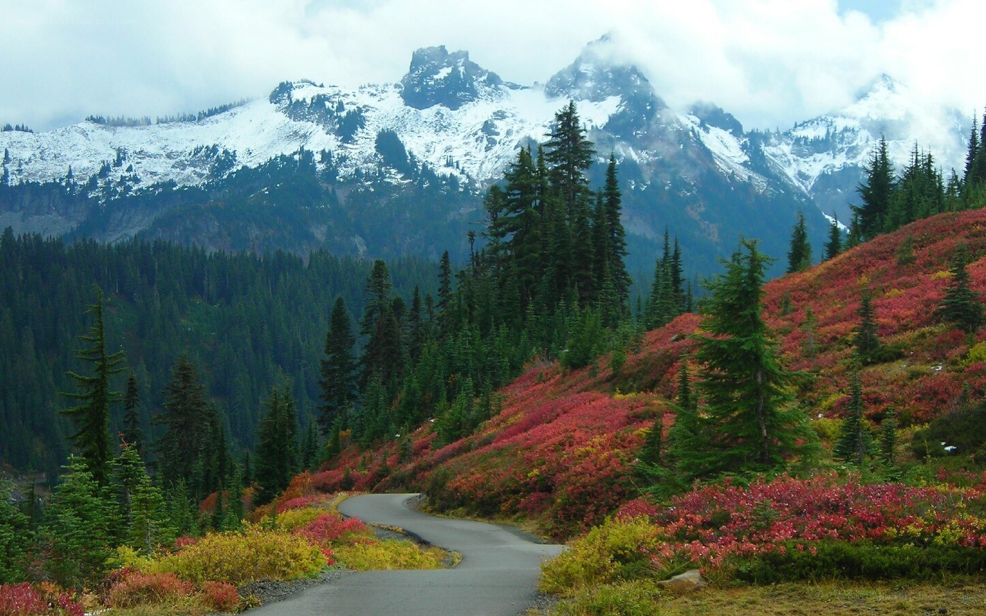 Mountain road with autumn colors