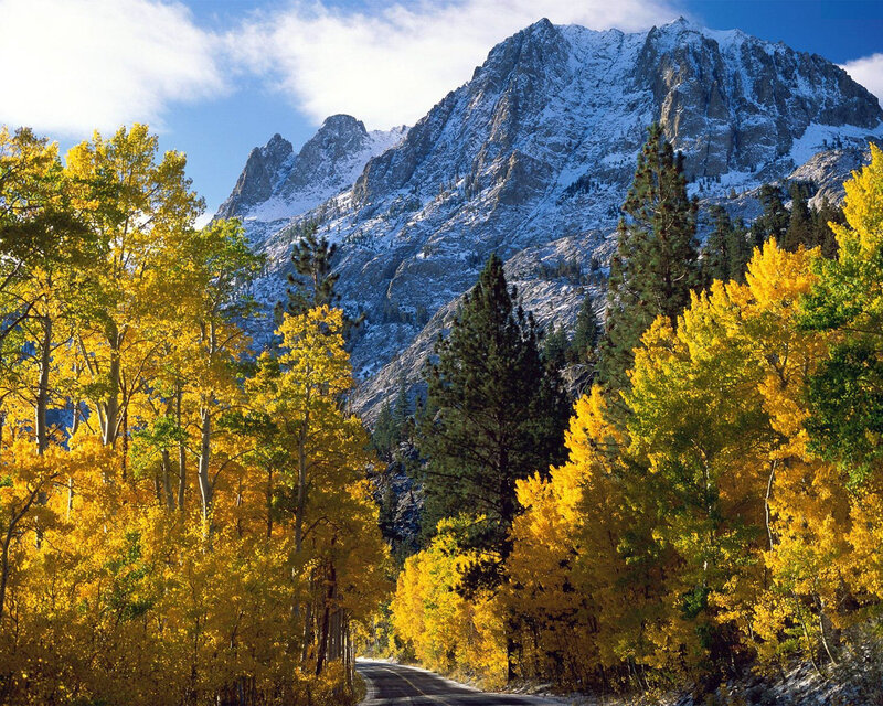 Mountain Road with Autumn Trees