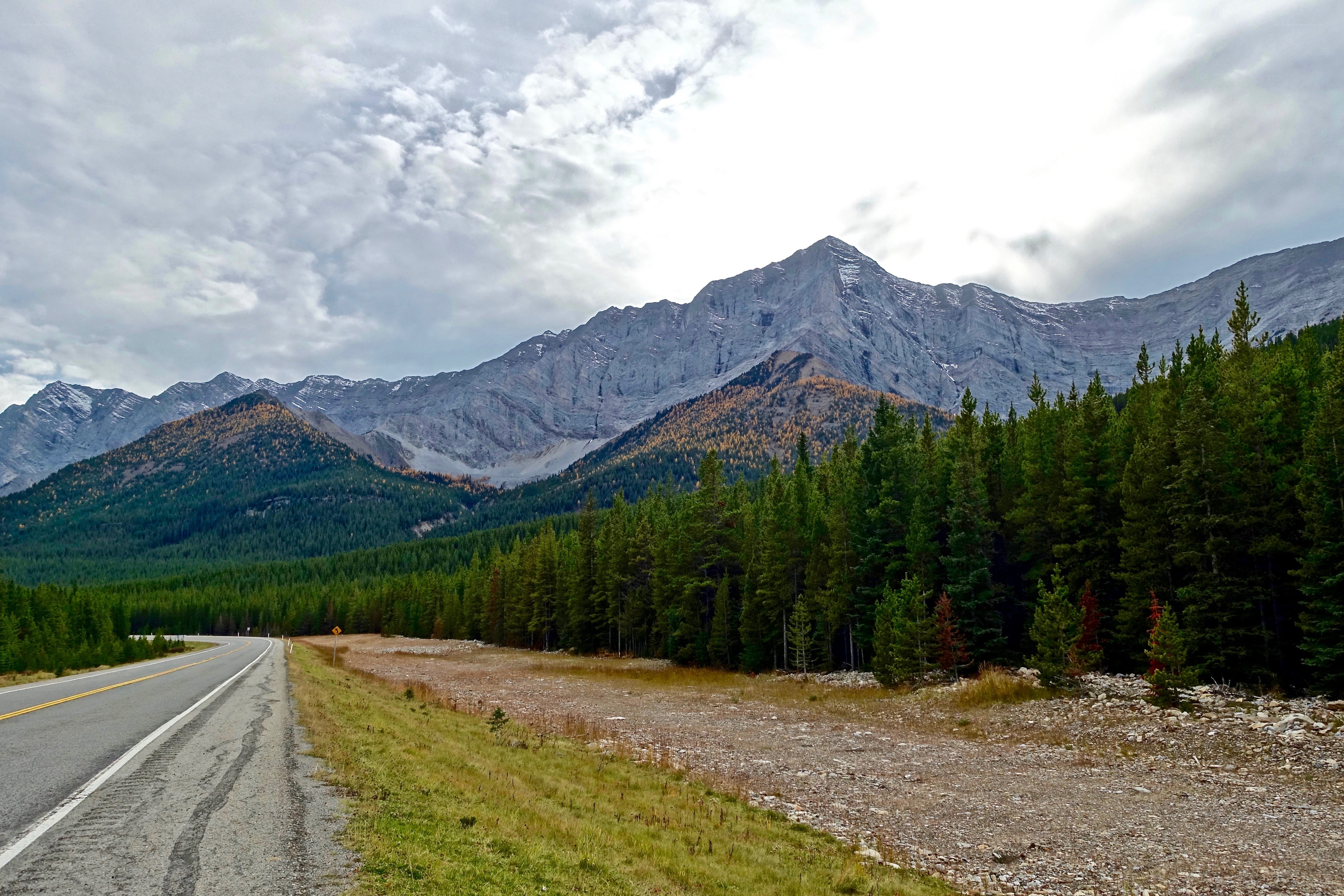 Mountain road with forest and peaks