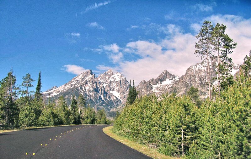 Mountain Road with Pine Trees — Blue
