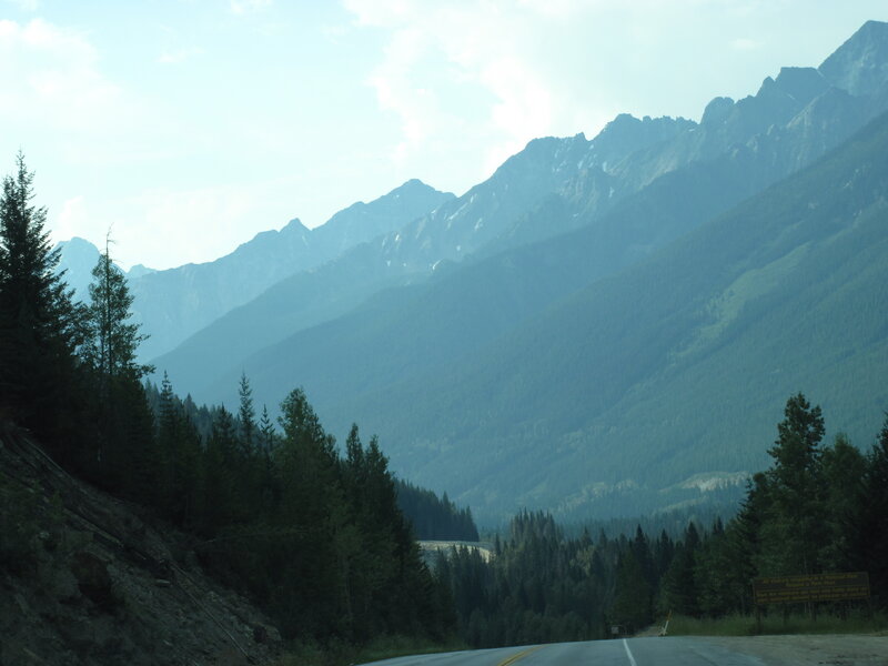 Mountain Road with Trees — Green, Serene, Afternoon