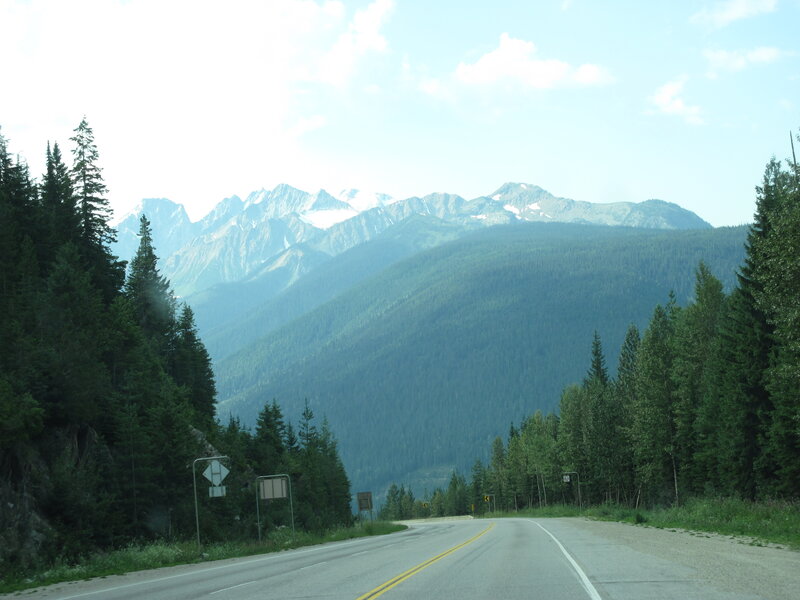 Mountain Road with Trees — Green, Serene