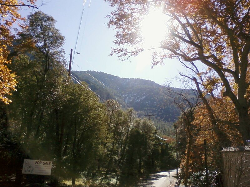 Mountain Road with Trees — Green