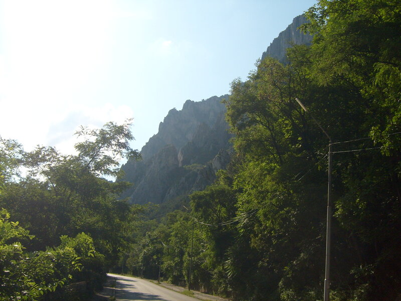 Mountain Road with Trees