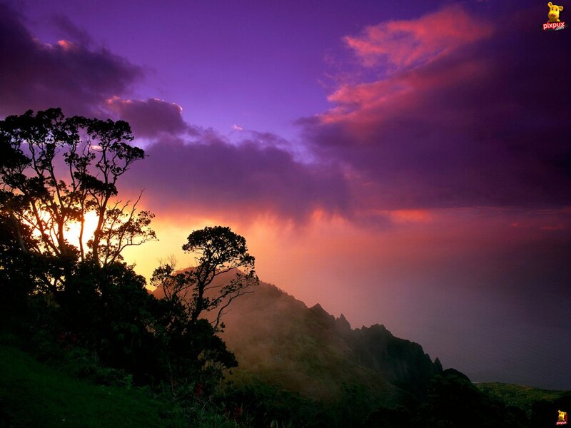 Mountain Silhouette at Sunset — Purple, Dramatic, Photograph, Trees