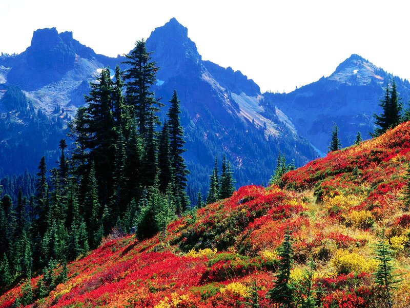 Mountain Slope with Autumn Foliage