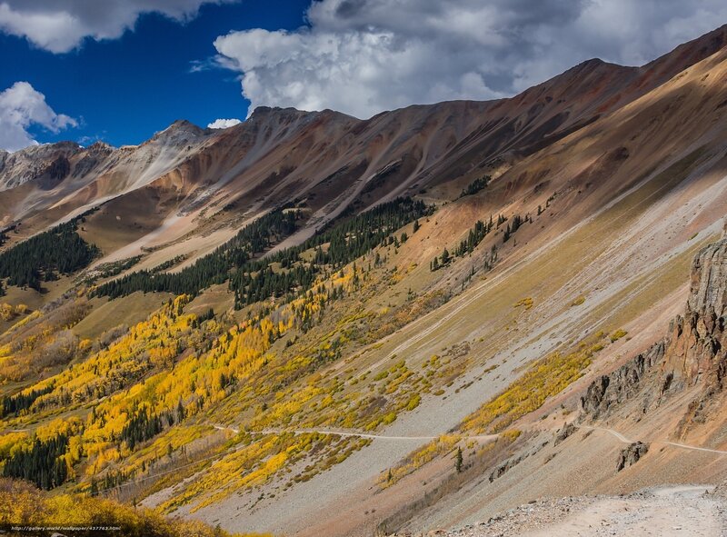 Mountain Slope with Autumn Trees