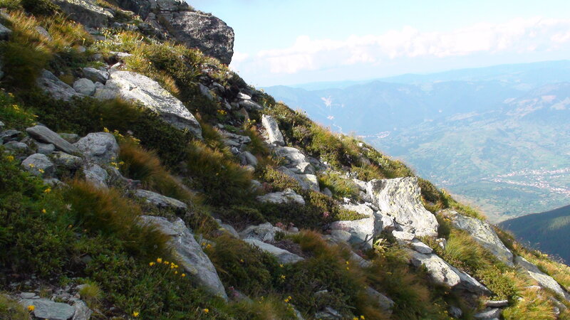 Mountain Slope with Rocks