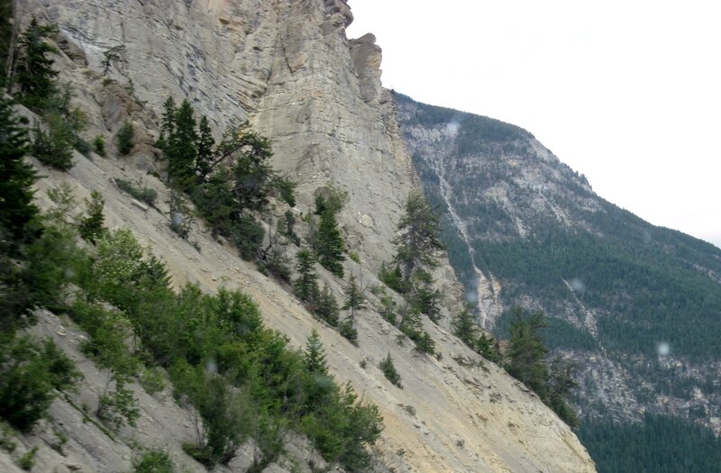 Mountain Slope with Trees — Green, Natural