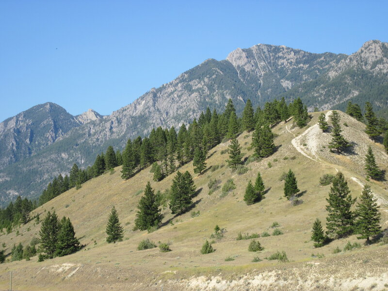 Mountain Slope with Trees — Green
