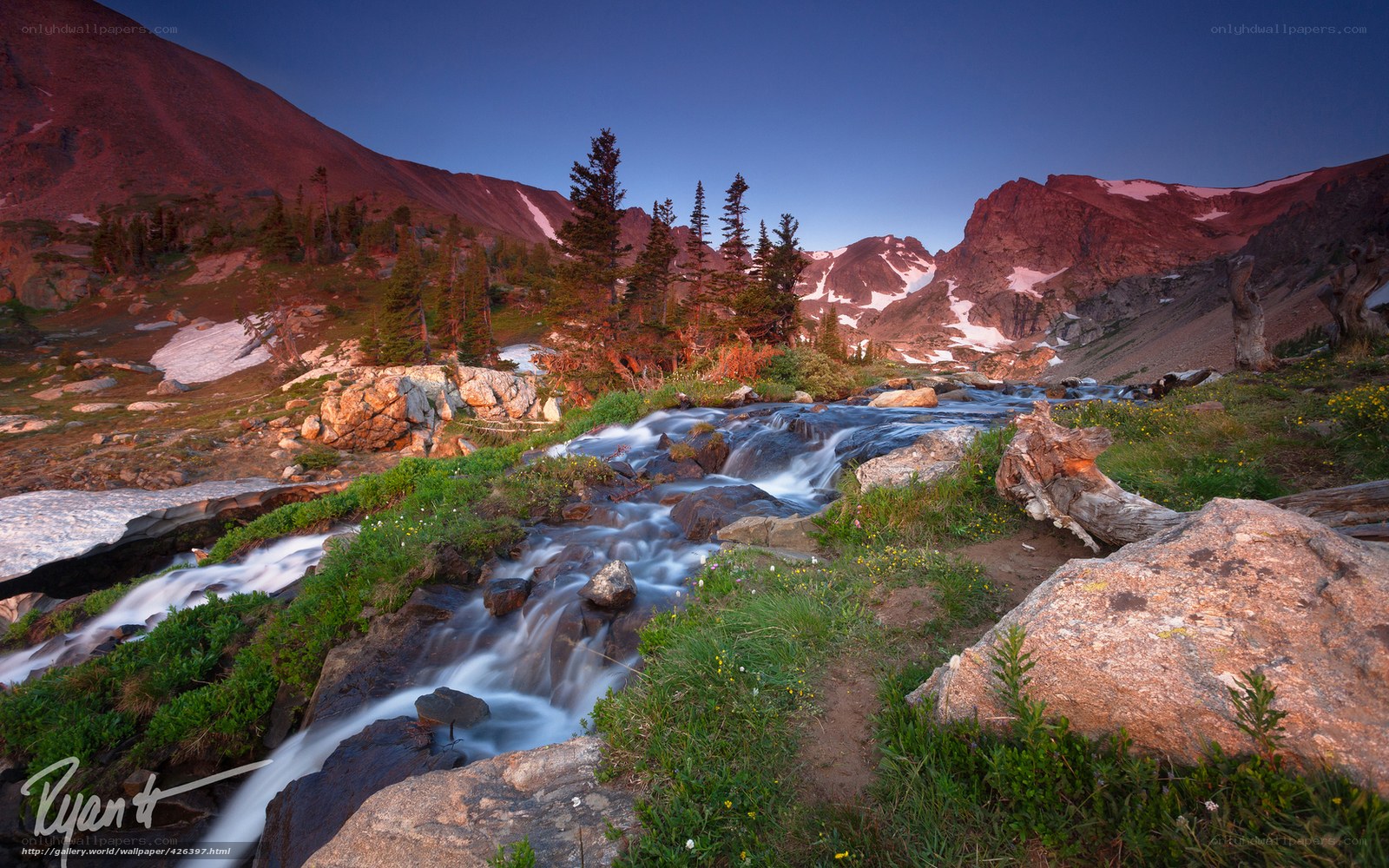 Mountain stream at dawn