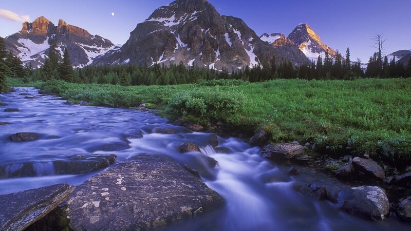 Mountain stream at dusk