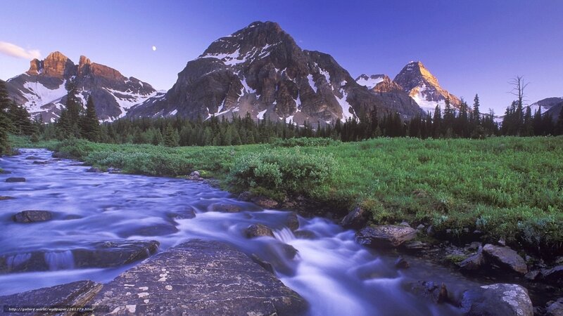 Mountain Stream at Dusk — Blue, Serene, Photograph