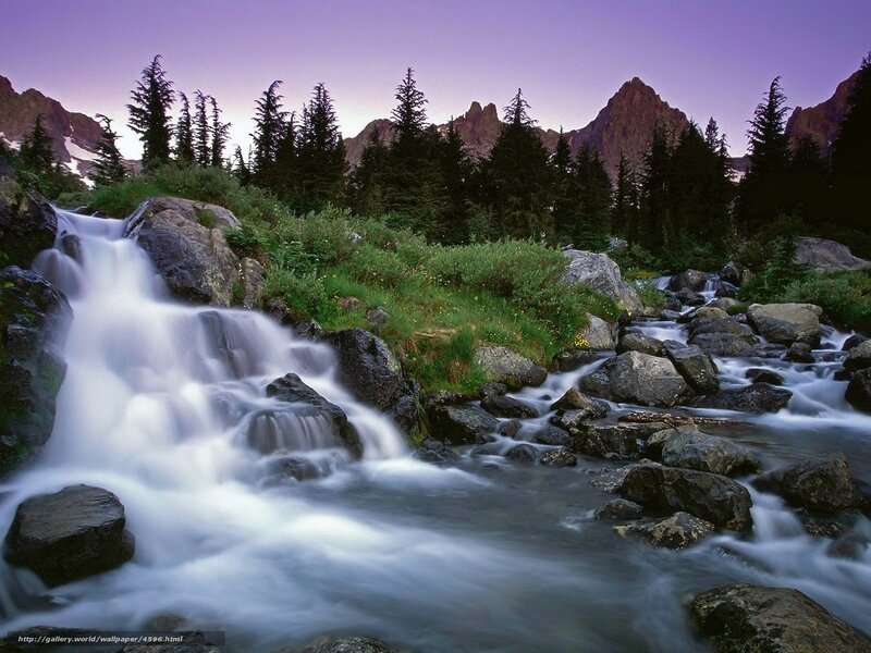Mountain stream at dusk