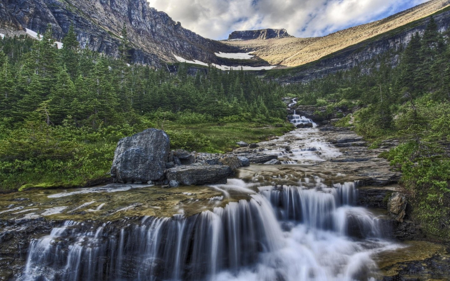 Mountain stream cascading through forest