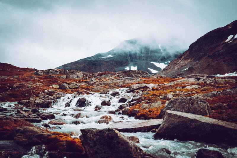 Mountain Stream Flowing — Gray