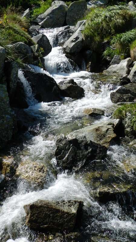 Mountain Stream Flowing — Green, Active