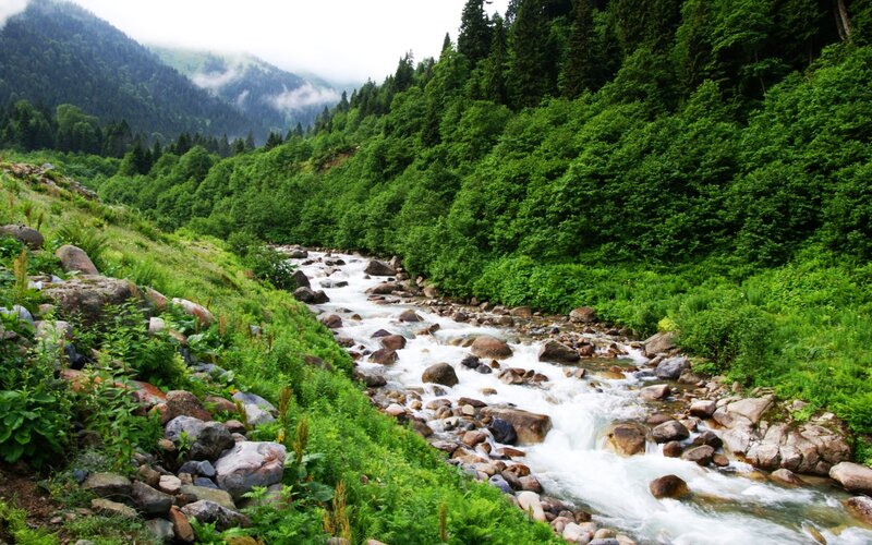 Mountain Stream Flowing — Green, Serene