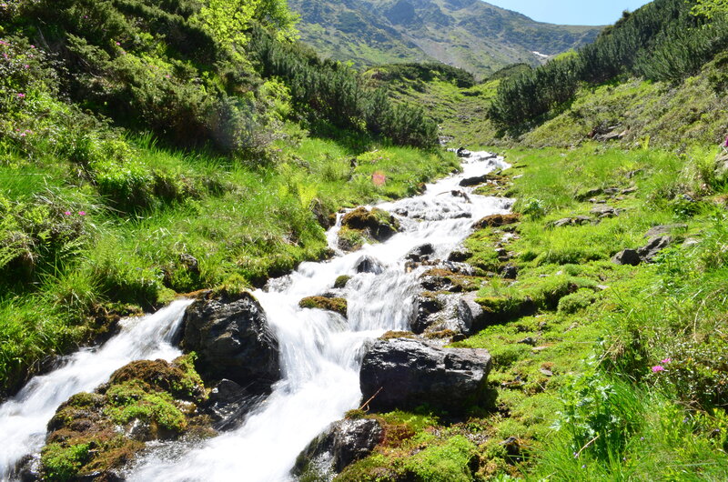 Mountain Stream Flowing — Green