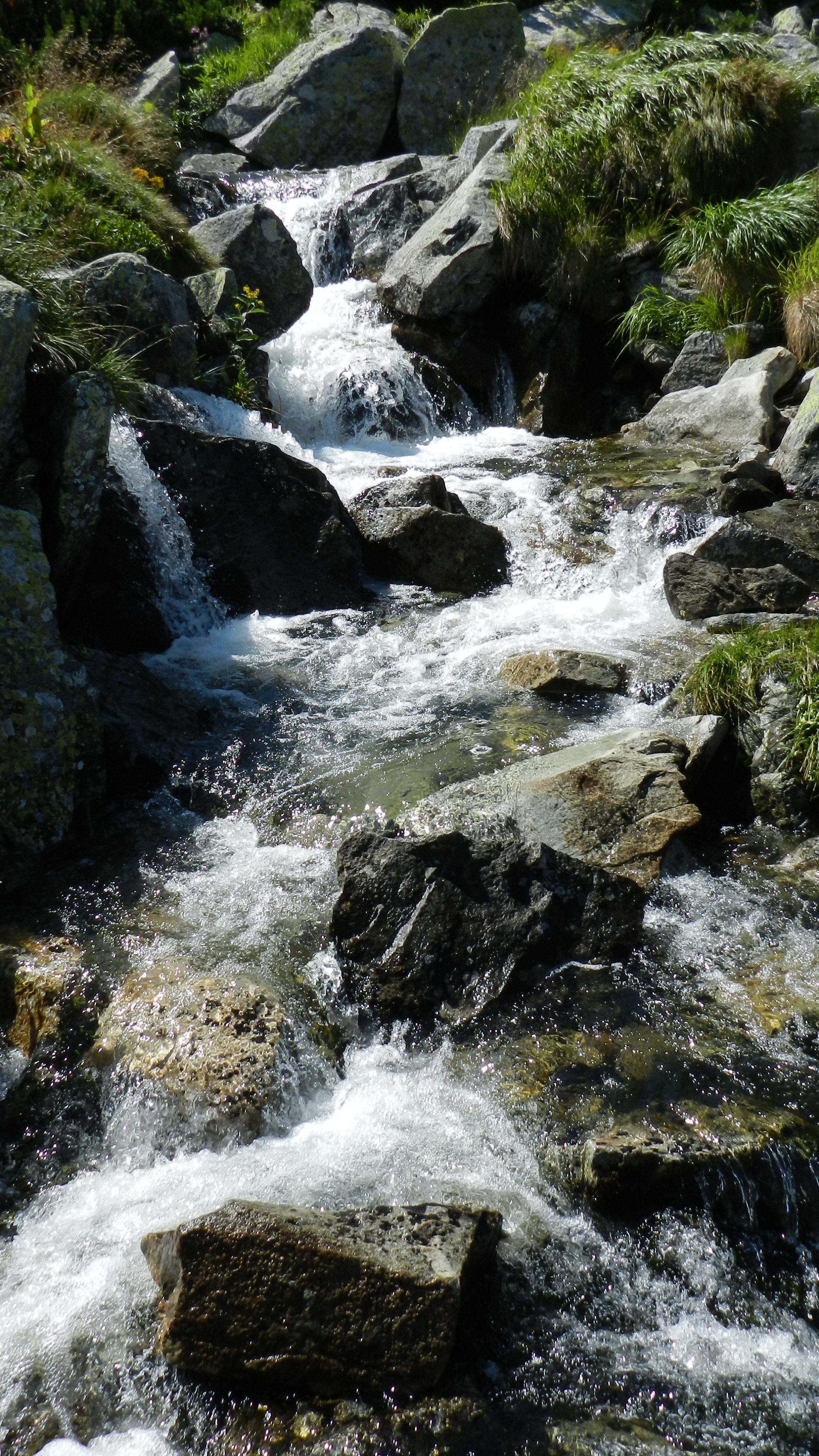 Mountain stream flowing over rocks