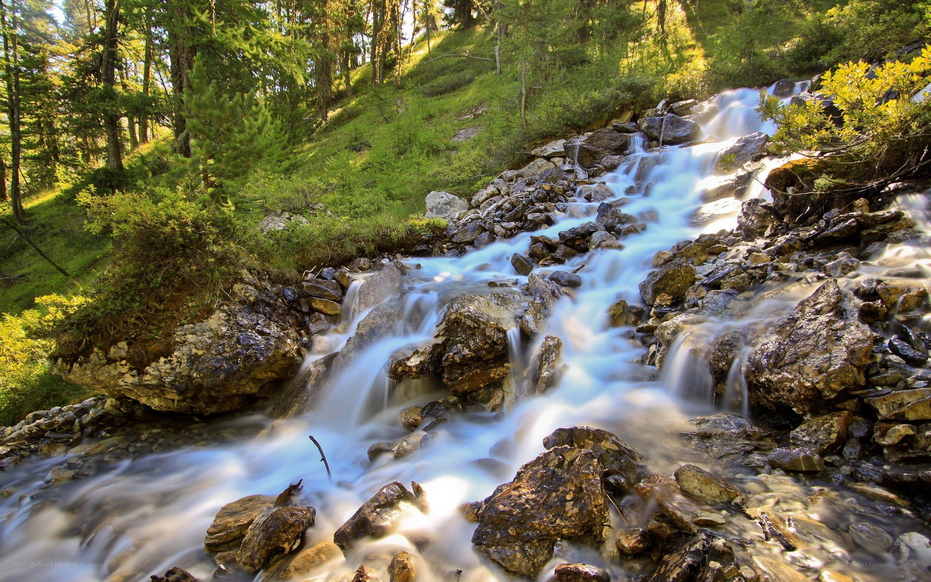Mountain stream flowing over rocks
