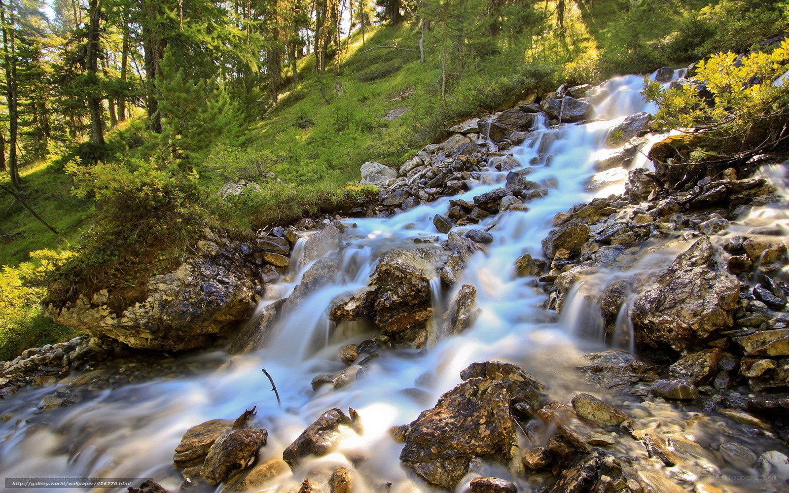 Mountain stream flowing over rocks