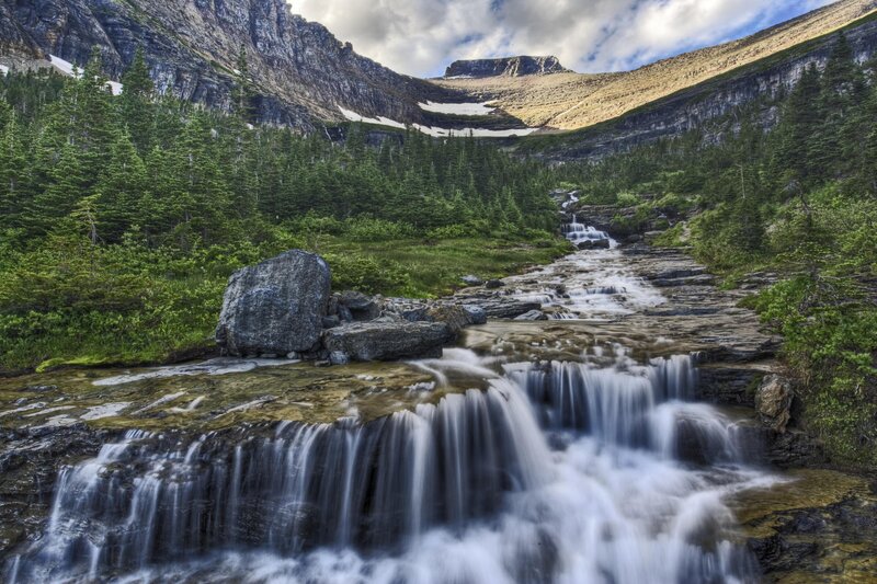 Mountain stream flowing through forest