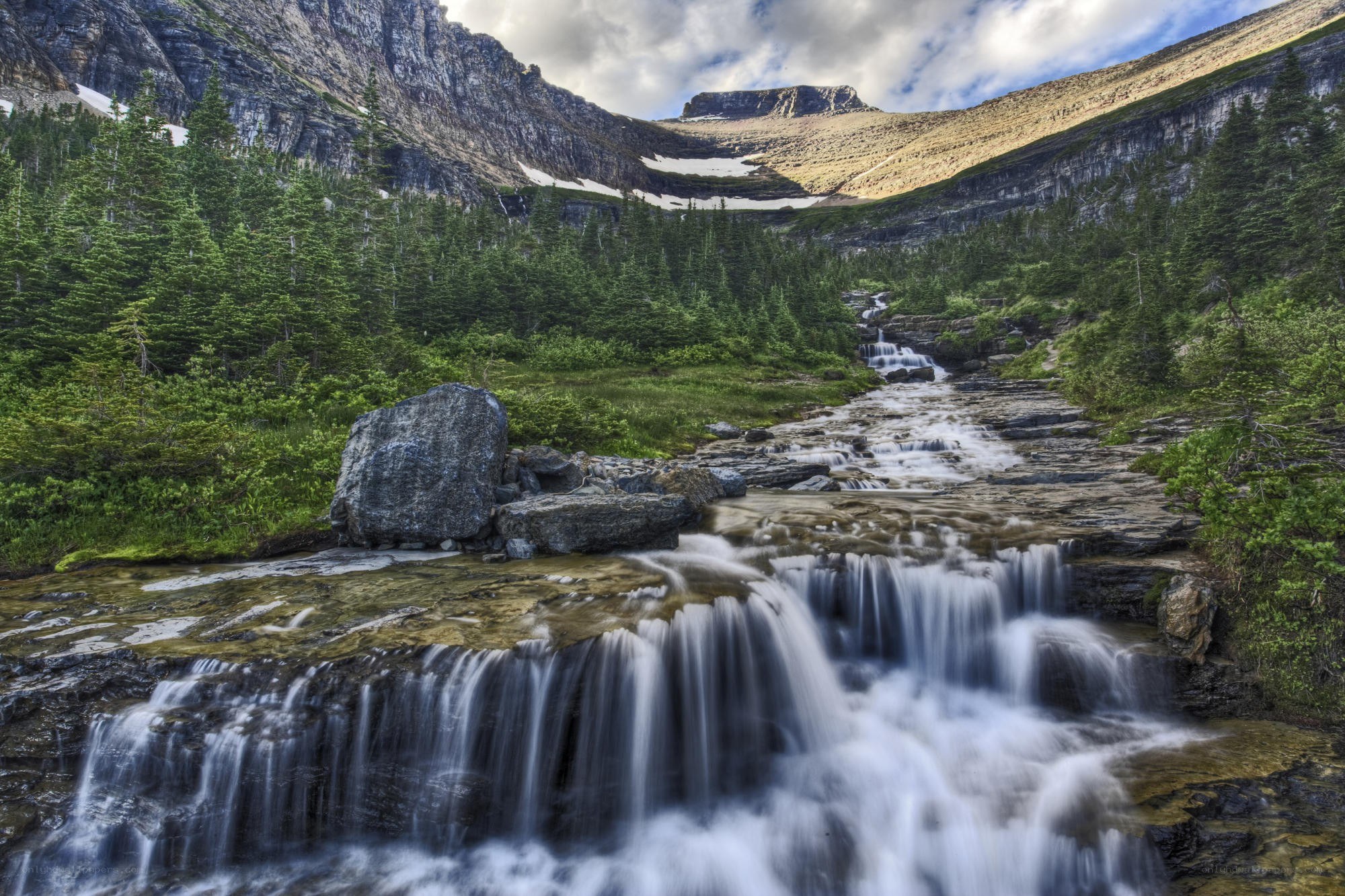 Mountain stream flowing through forest