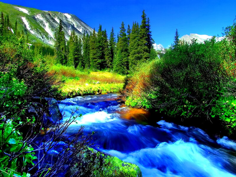 Mountain Stream Flowing