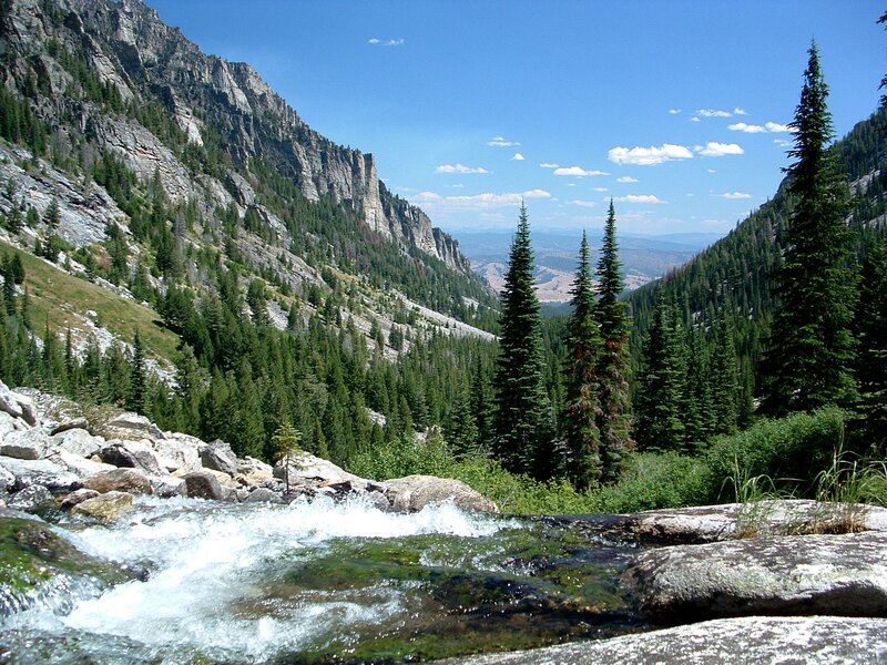 Mountain stream in a forested valley