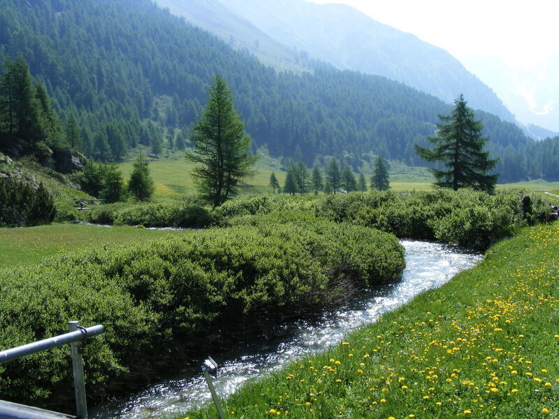Mountain stream in a green valley