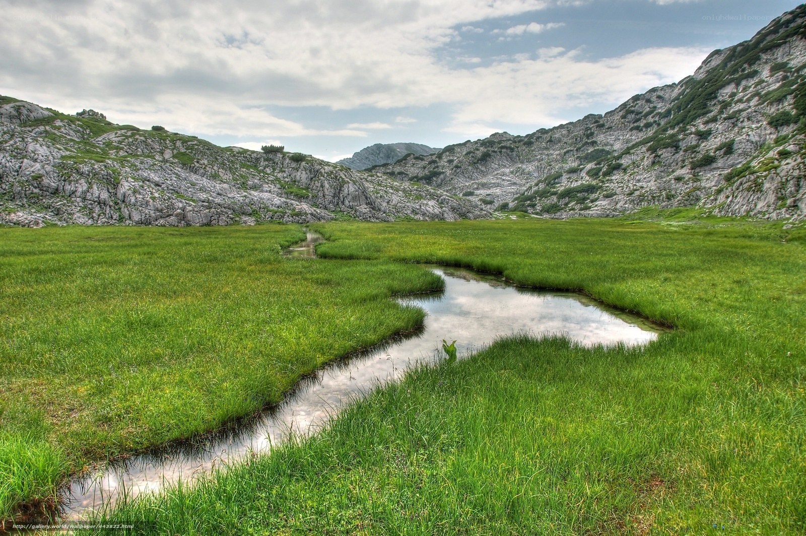 Mountain stream in a green valley