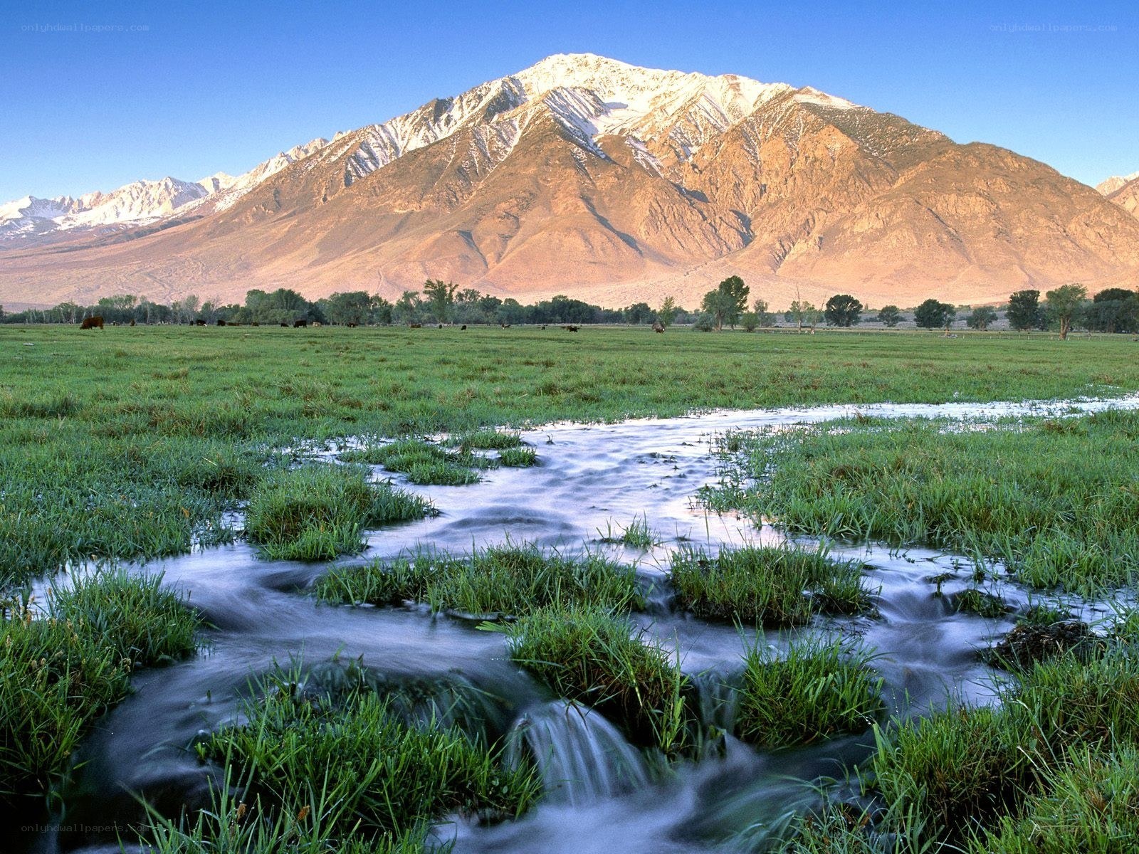Mountain stream in a green valley