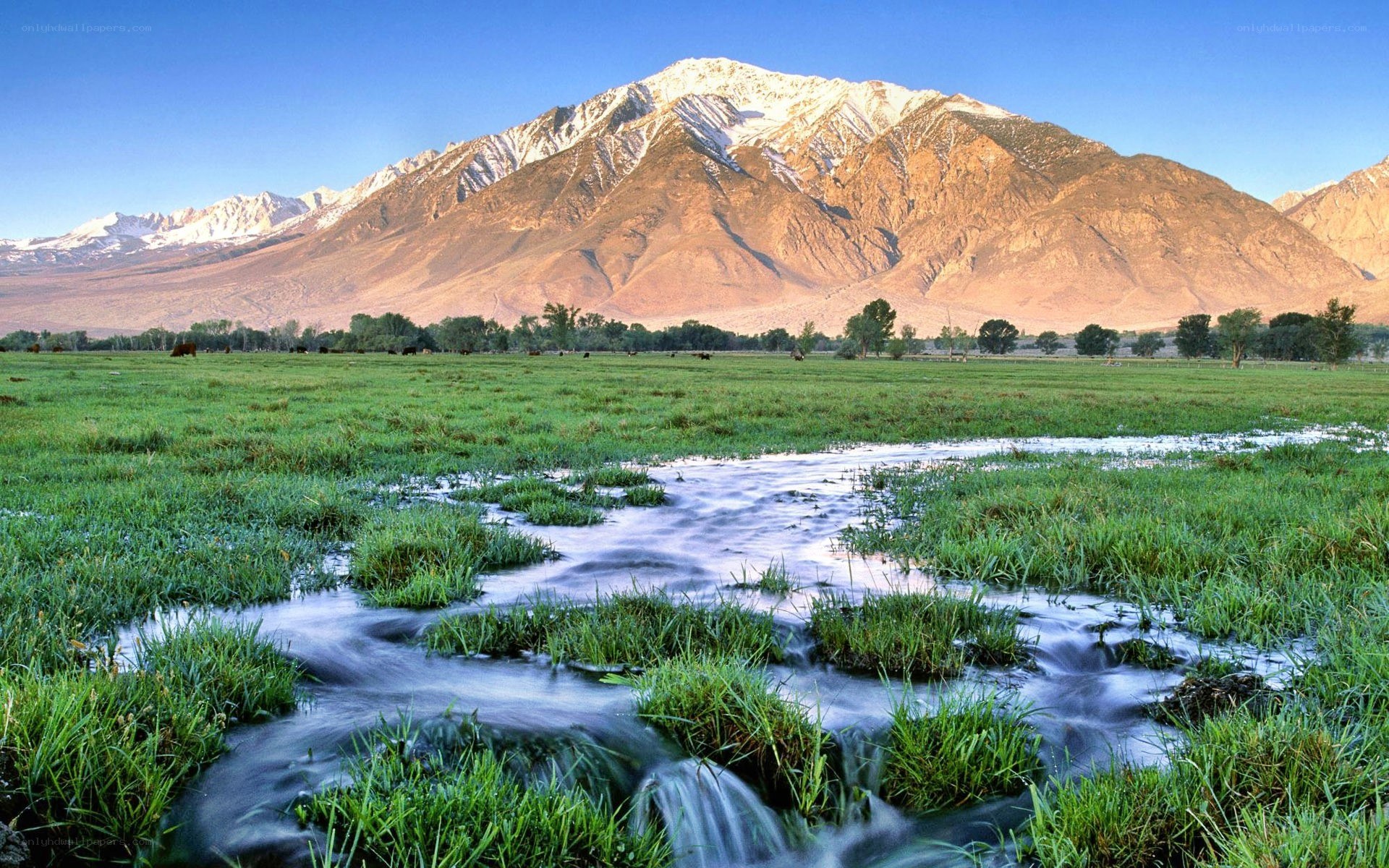 Mountain stream in a green valley