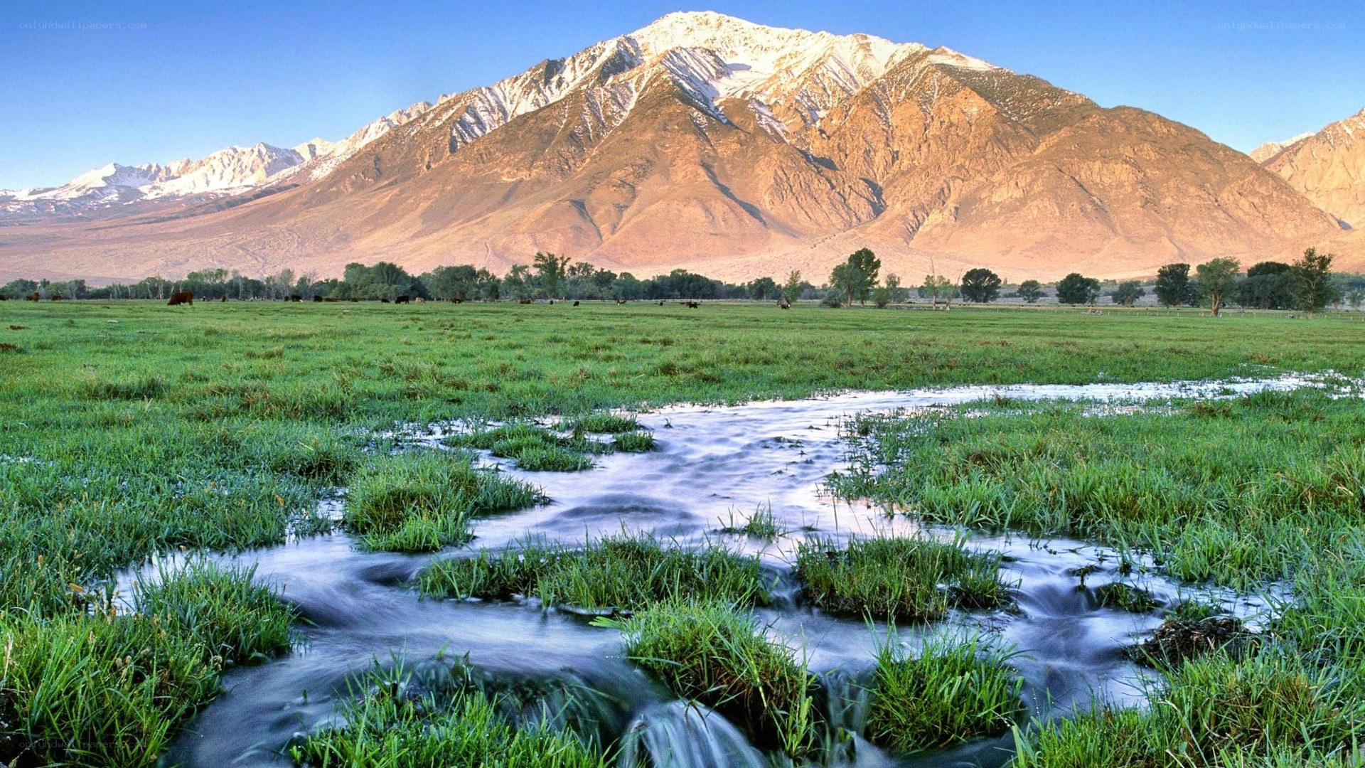 Mountain stream in a green valley