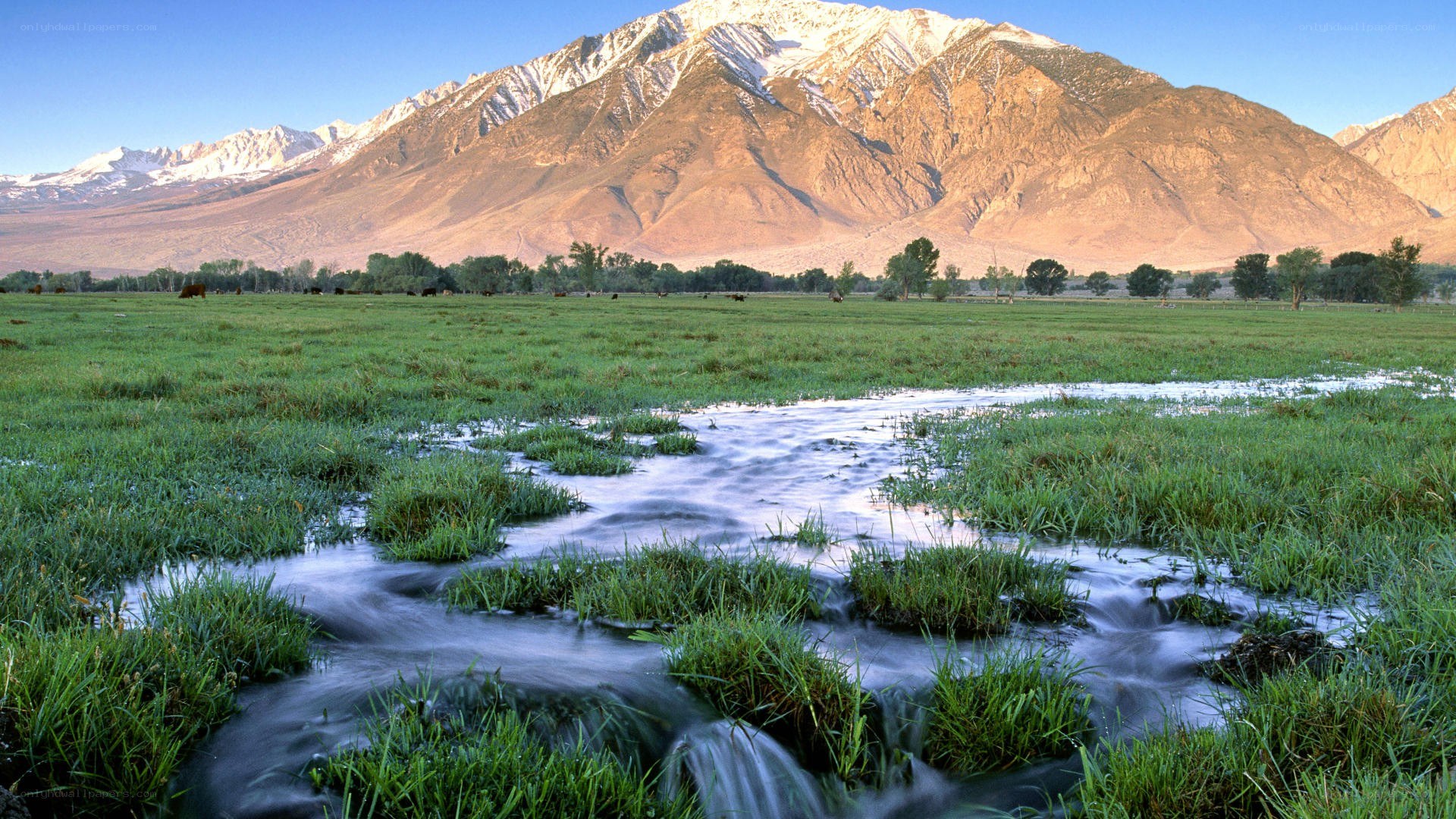 Mountain stream in a green valley