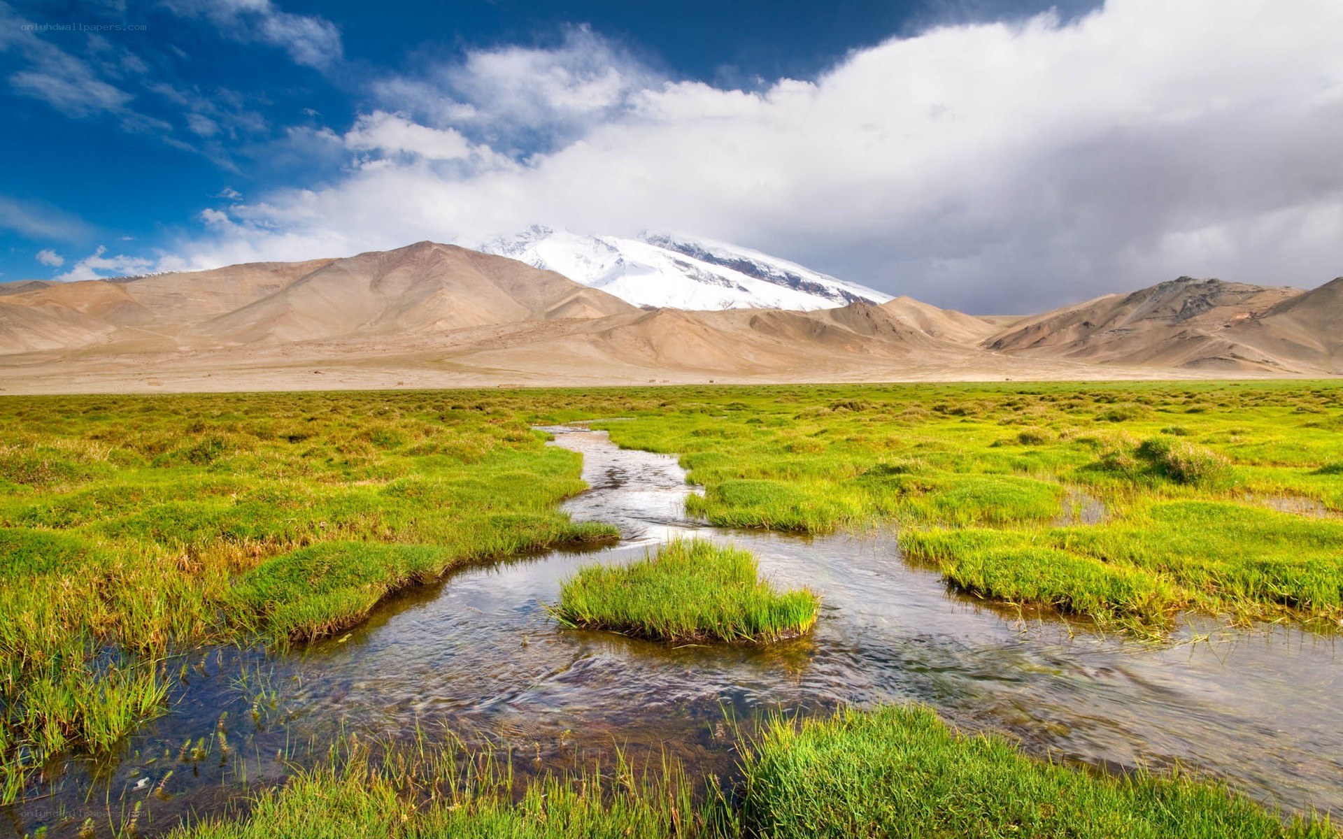 Mountain stream in a green valley