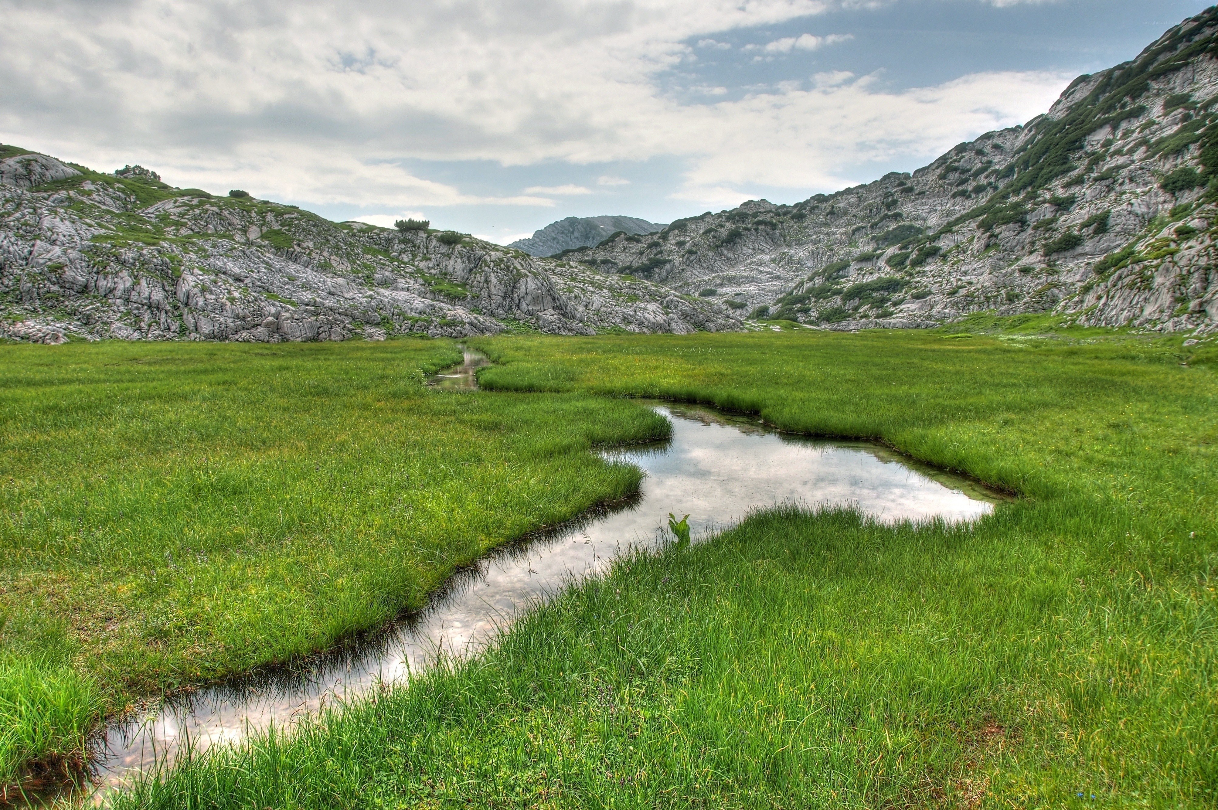 Mountain stream in a green valley