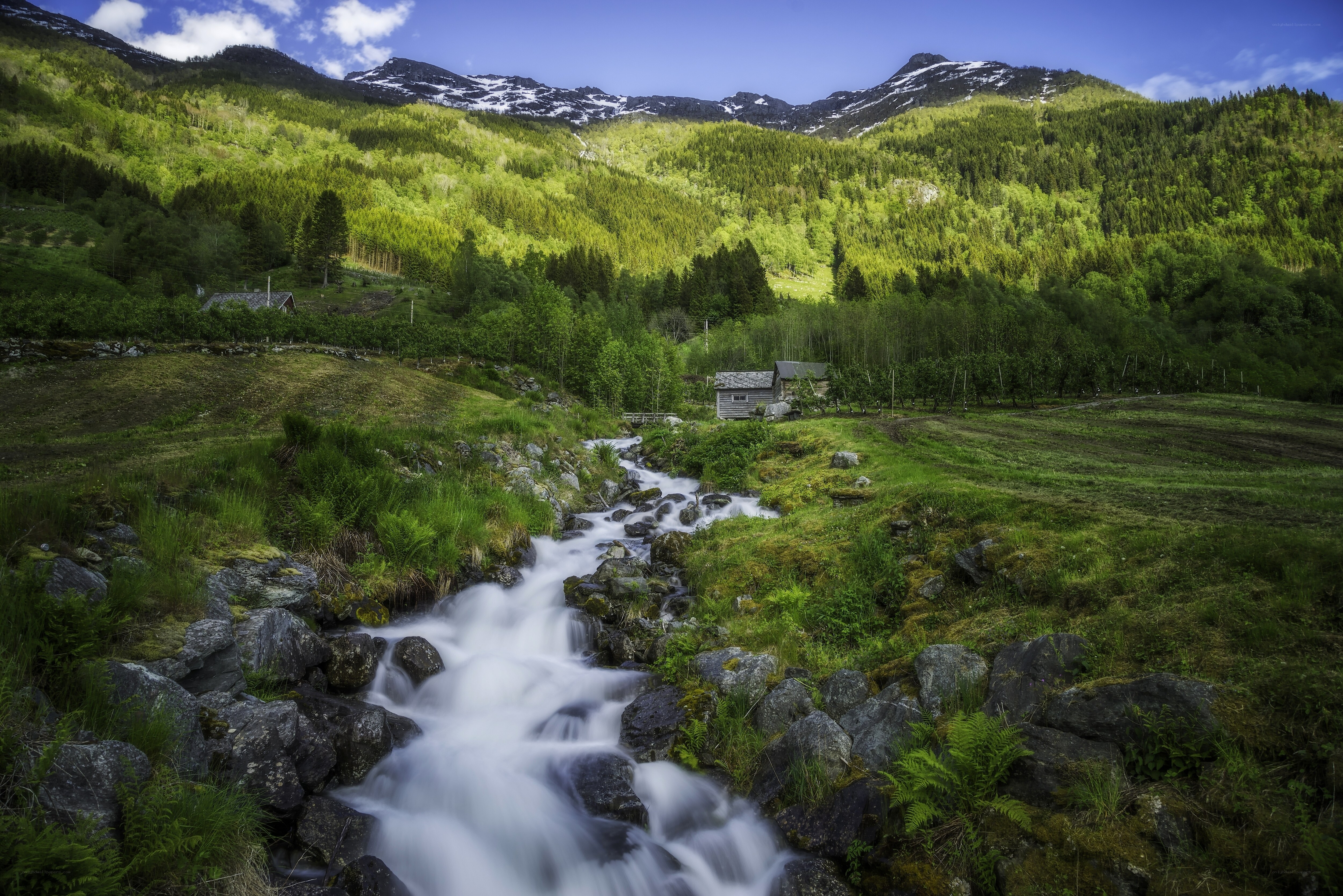 Mountain stream in a green valley