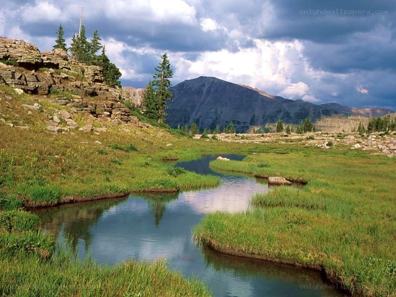 Mountain stream in a meadow