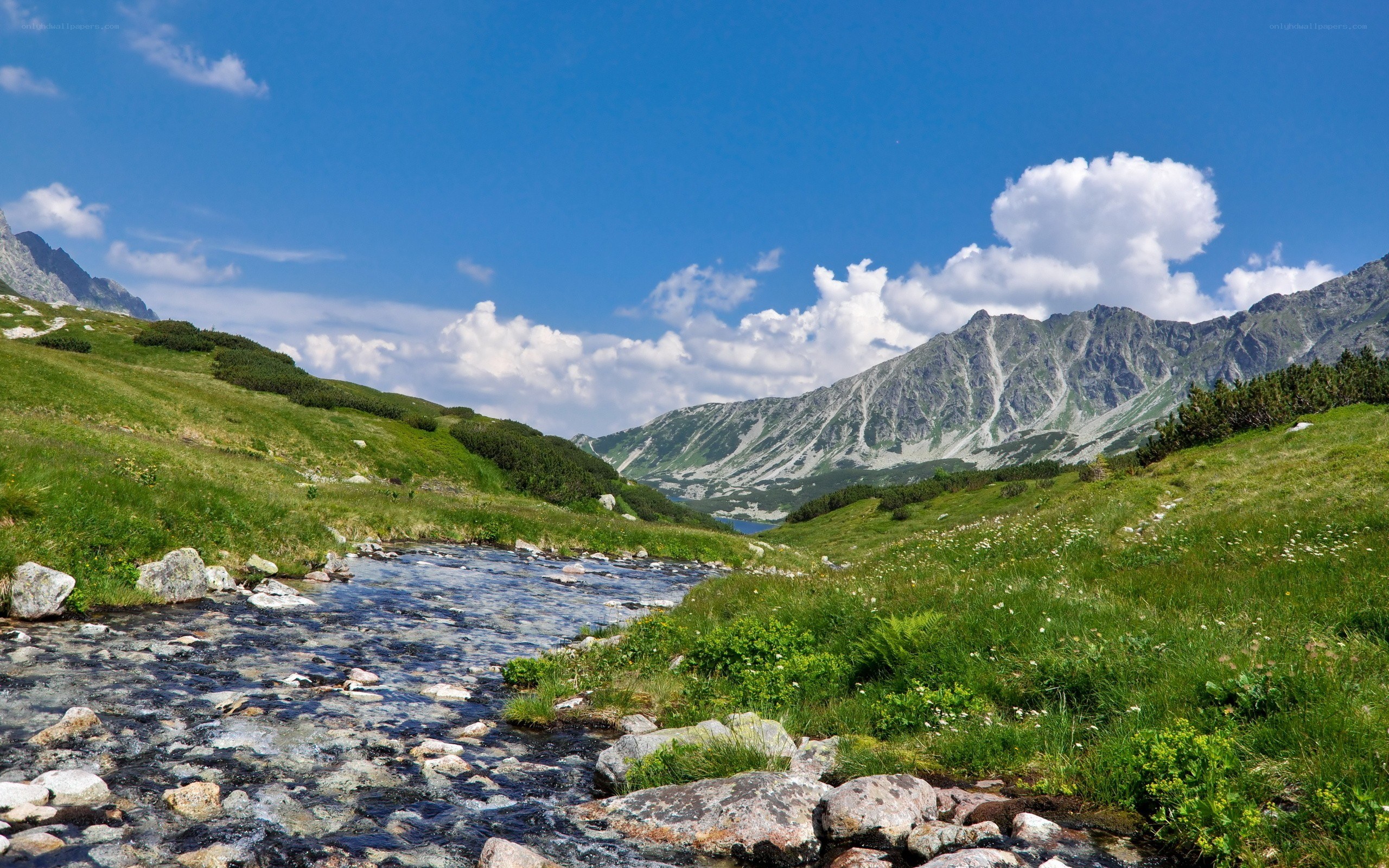 Mountain stream in a valley