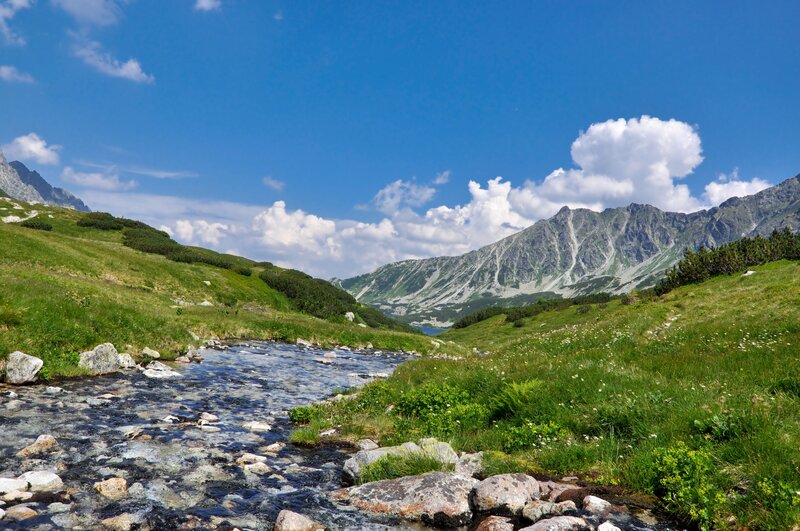 Mountain stream in a valley