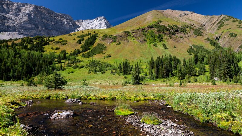 Mountain stream in a valley