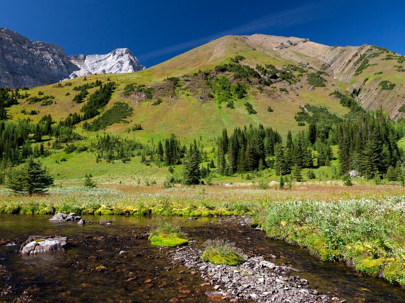 Mountain stream in a valley